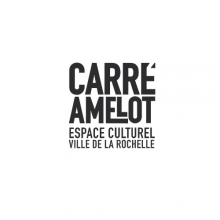 Logo Carré Amelot